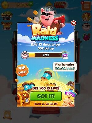 Raid Madness VIP edition